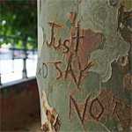 just say no carved into a tree